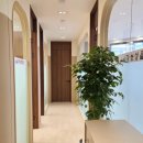 하나국어전문학원 | 성북구 국어학원 길음동 날다국어전문학원 후기 모음