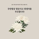 쏨 이미지