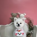 양덕동275 이미지