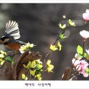 아름다운연출 이미지