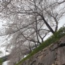 한냉 이미지