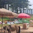 유천 한우 이미지