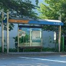 추사박물관 | 과천여행, 추사박물관