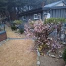 들꽃피는 아침풍경 이미지