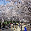 진해통상 이미지