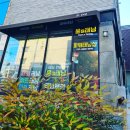 윤s뷰티 | 경산 태닝샵 추천 14년 운영중 윤s태닝샵