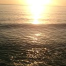 돌아온 해순을    이미지