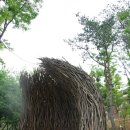 포레스트 12 자연휴양림 이미지