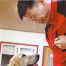 서산벤지 이미지