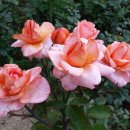 도담공원2 이미지