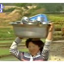 80년대 초 농촌 새참 나왔어요! 어서들 오세요 (시골 모내기, 엣날 사람들, 그때 그 시절, 힐링 영상 KOREA 80s) 황소 써레 이미지