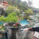 [5살 아이와 발리여행] 발리 누사두아 리조트_Hilton Bali Resort / 누사두아 리조트 추천 / 힐튼수영장...