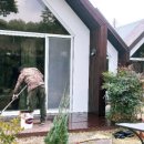 별담스테이 이미지