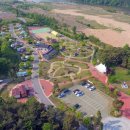 고란길(길안면) 이미지