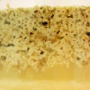 천연발효공방 이미지