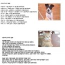 개와고양이의생각 - 도봉구 방학로10길 9 | 개와고양이의생각