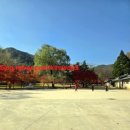 영화로 만나는 역사 이야기 | [영월 가볼만 한곳]“ 영월 장릉&#34; 완벽 가이드｜단종 능, 역사와 단풍이 만나는 여행”