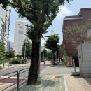 파이진다올에이전시 | 서울숲 오마카세 덕팻 l 성수 클래식 프렌치 레스토랑 9코스 후기
