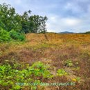 쌍령동-8 이미지