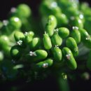 지유농장 이미지