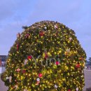 창기초등학교 이미지