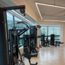 3.3 바디랩 이미지