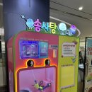 솜사탕오떼