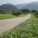 김연호농장 네이버블로그