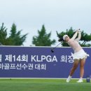메디힐 이미지