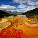 신 황룡 이미지