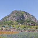 산방산