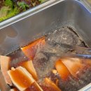 안정환의바글바글 이미지