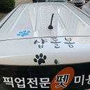 평화광고기획 - 사상구 | 평화광고기획