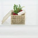 마루아라 이미지