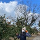 마일농장 이미지