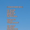 안녕육지사람