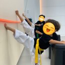 동탄 청림태권도장 이미지