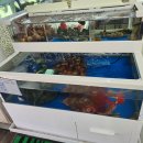 남원 지리산 수산 이미지