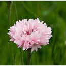 일순농장 이미지