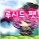 루시드펫 이미지