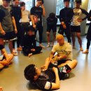 BD 주짓수 이미지