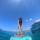 해양5로1L | 하와이 신혼여행 5일차 | 호놀룰루 거북이 스노쿨링 투어, 야드하우스, 와이키키 해변, 한식푸드트럭