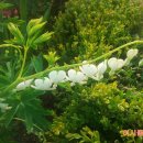 이시돌쉼터 이미지