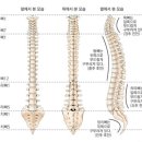 필라테스혜