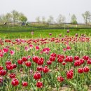 평화농장(2) 이미지