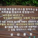 제주 올레길 여행후기(1코스~5코스간) 이미지