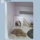 앵무와 함께하는 일상