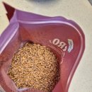 파로(FARRO) | "명절선물로 받은 슈퍼곡물 파로(Farro) 먹어본 후기"