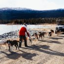 new 구글+SNS+유튜브+최신AI서비스 이미지