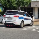 강원도 교통약자 광역이동지원센터 | 여름방학 필수 교통수단! 경기도광역장애인콜택시 실제 이용 후기와 예약 꿀팁